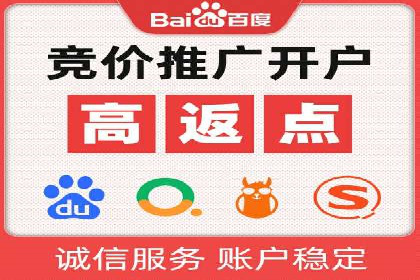 案例解读：SEO与SEM优化助力电商崛起